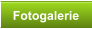 Fotogalerie